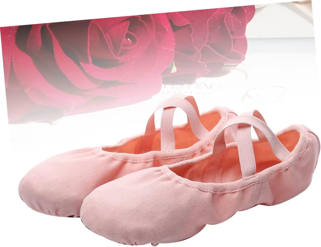 Professional Ballet Dance Shoes for Adult Breathable Material Comfortable Fit Elastic Band Suitable for Yoga Folk Modern Ballroom Jazz Dance